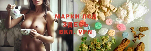 стафф Корсаков