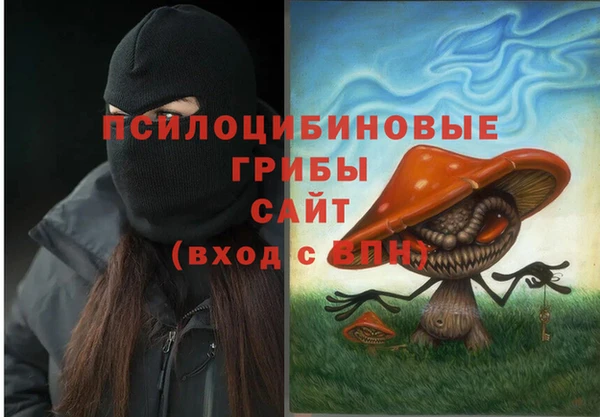 тгк Коряжма