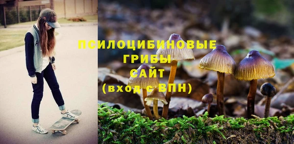 стафф Корсаков