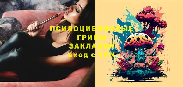 тгк Коряжма