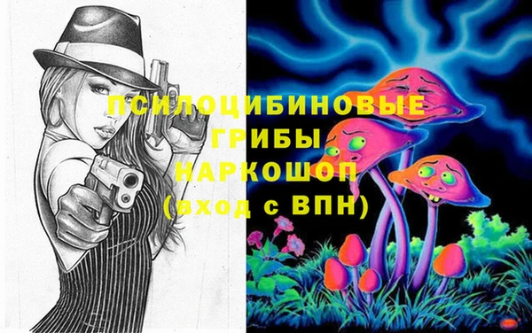 стафф Корсаков