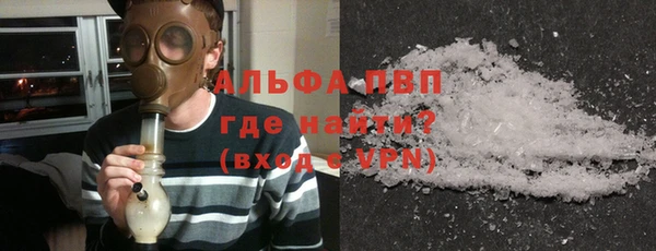 стафф Корсаков