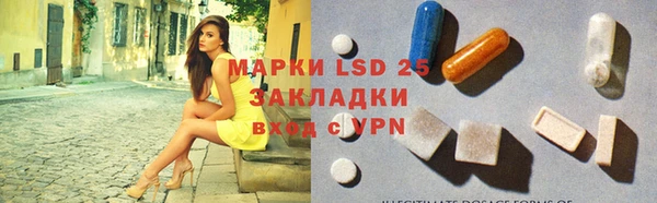 стафф Корсаков