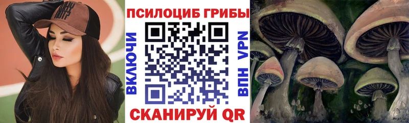 Галлюциногенные грибы прущие грибы  что такое наркотик  Долгопрудный 
