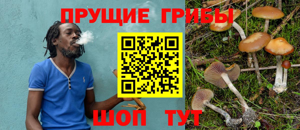 Псилоцибиновые грибы мицелий Долгопрудный