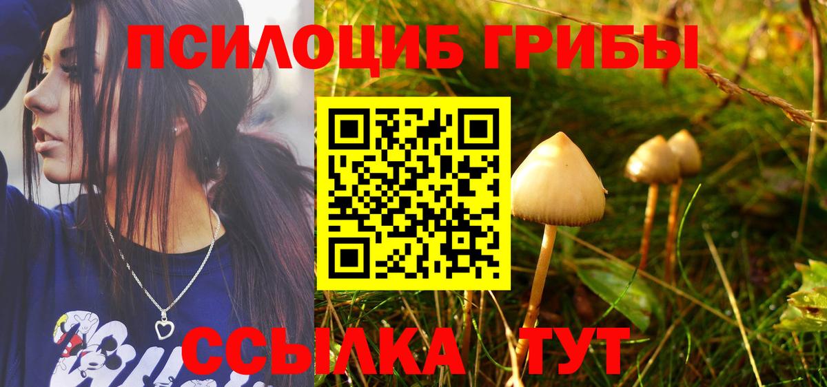 Псилоцибиновые грибы мицелий  Долгопрудный 