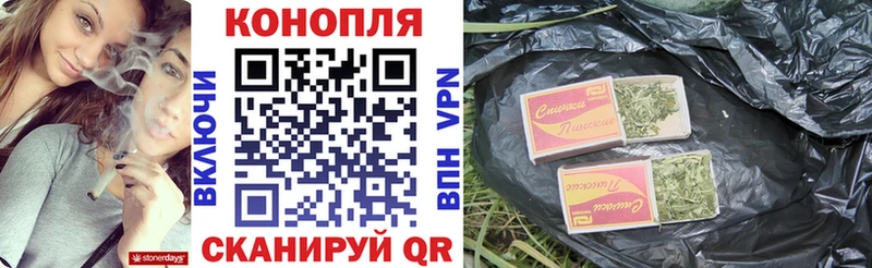 Бошки Шишки сатива  купить наркотики сайты  OMG зеркало  Долгопрудный 